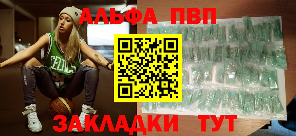 Альфа ПВП СК Новодвинск