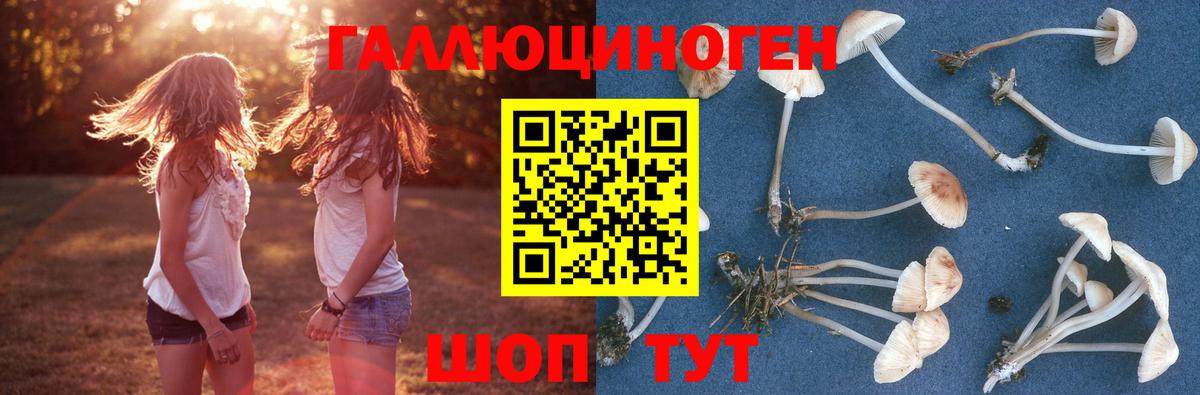 Новодвинск  Галлюциногенные грибы Psilocybe  Галлюциногенные грибы Magic Shrooms  Вход с VPN 