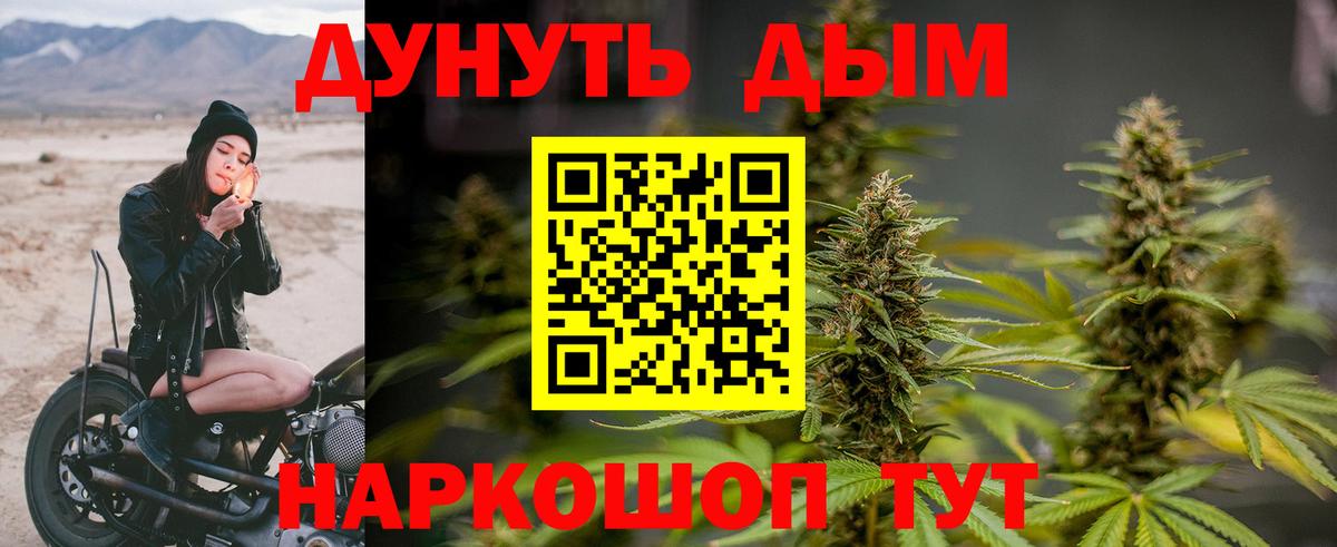 Канабис Bruce Banner Новодвинск
